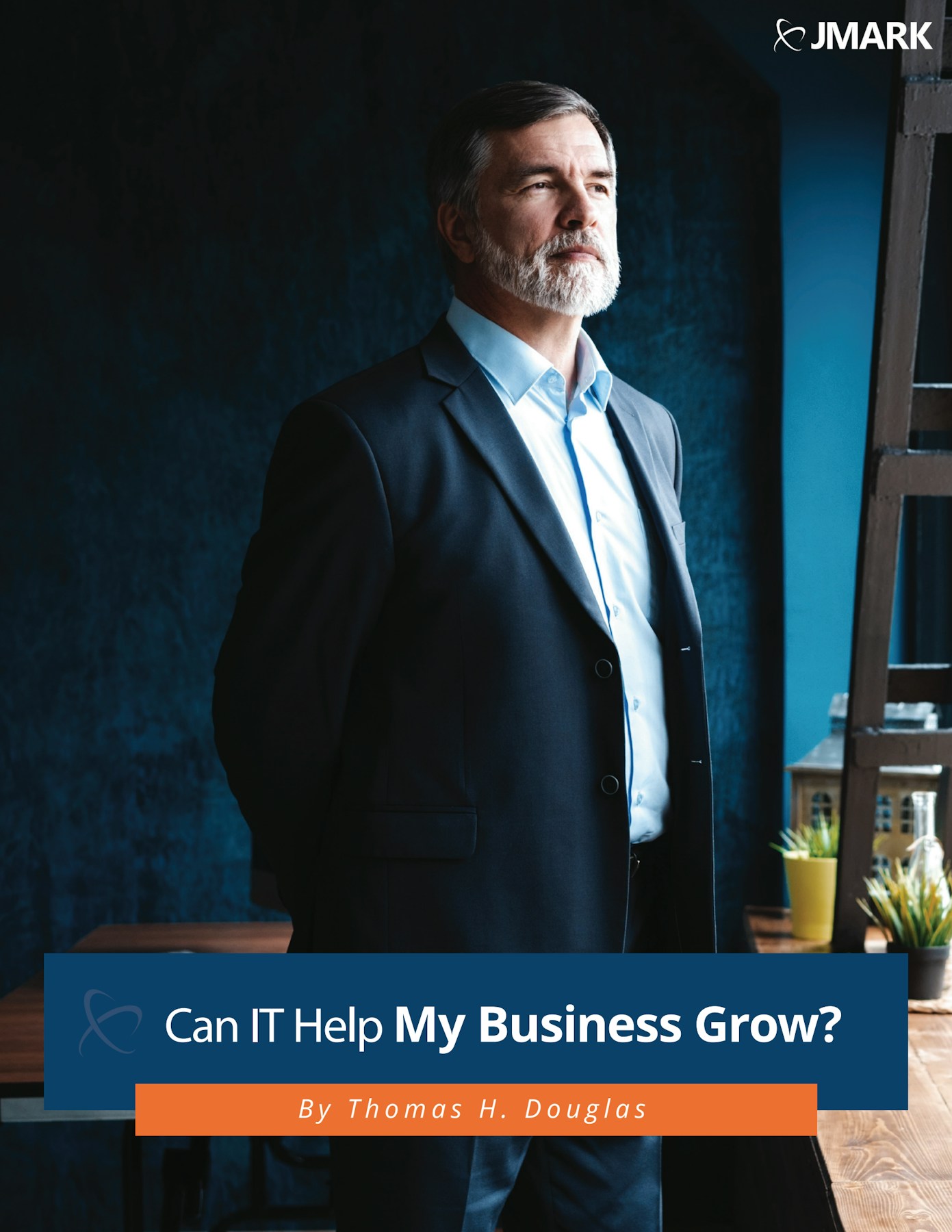 Preview: Can IT Help My Business Grow White Paper